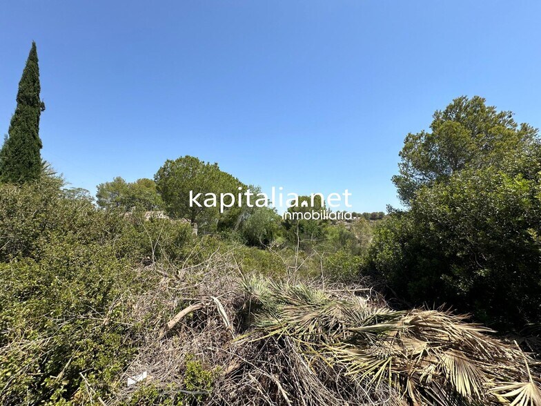 Terrain dans Alberic, Valencia à vendre - Photo principale – Image 2 sur 4