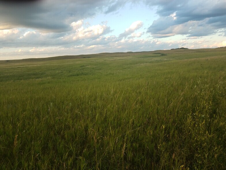 45043 127th St, Peever, SD à vendre - Photo de l’immeuble – Image 3 sur 31