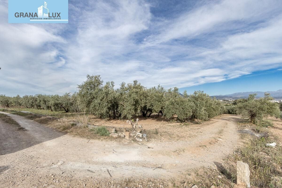 Pago de, Albolote, Granada à vendre Photo principale– Image 1 sur 15