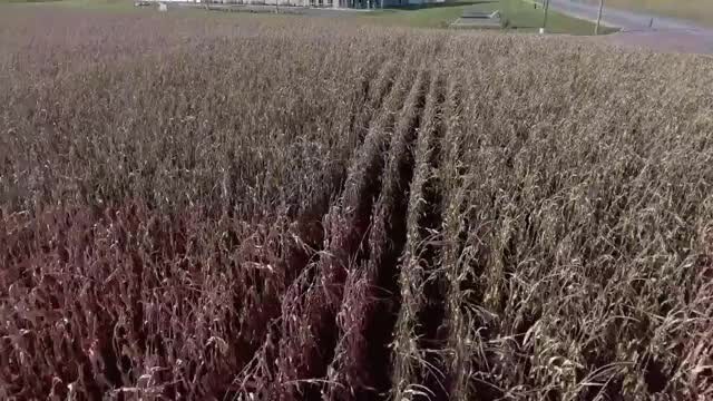CR 100 US 421, Delphi, IN à vendre - Vidéo sur l’annonce professionnelle – Image 2 sur 13