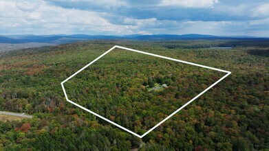 480 Breezy Hill Rd, Parksville, NY - VUE AÉRIENNE vue de carte