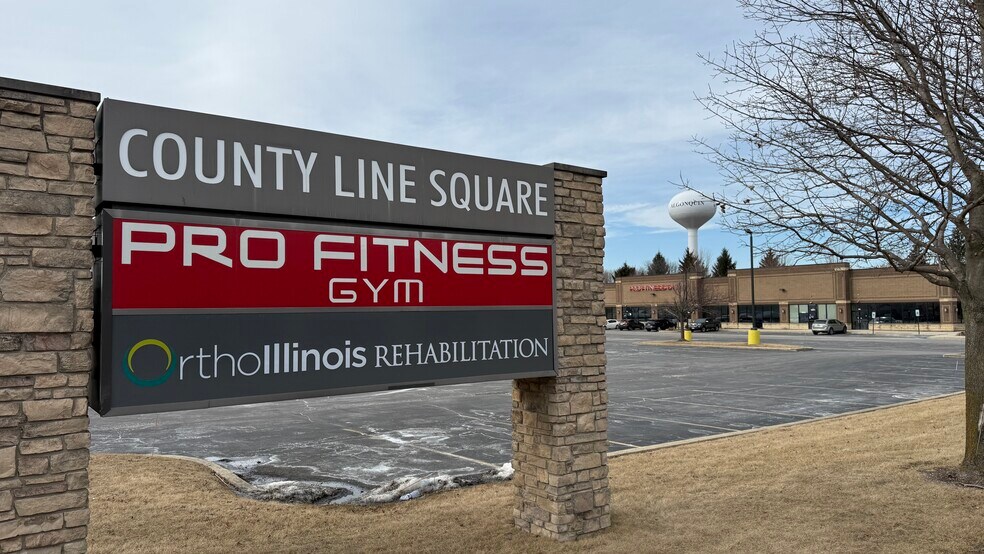 2172-2182 Lake Cook Rd, Algonquin, IL à louer - Photo de l’immeuble – Image 2 sur 10