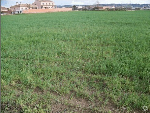 Carretera Calera, Talavera de la Reina, Toledo à vendre - Photo de l’immeuble – Image 2 sur 5