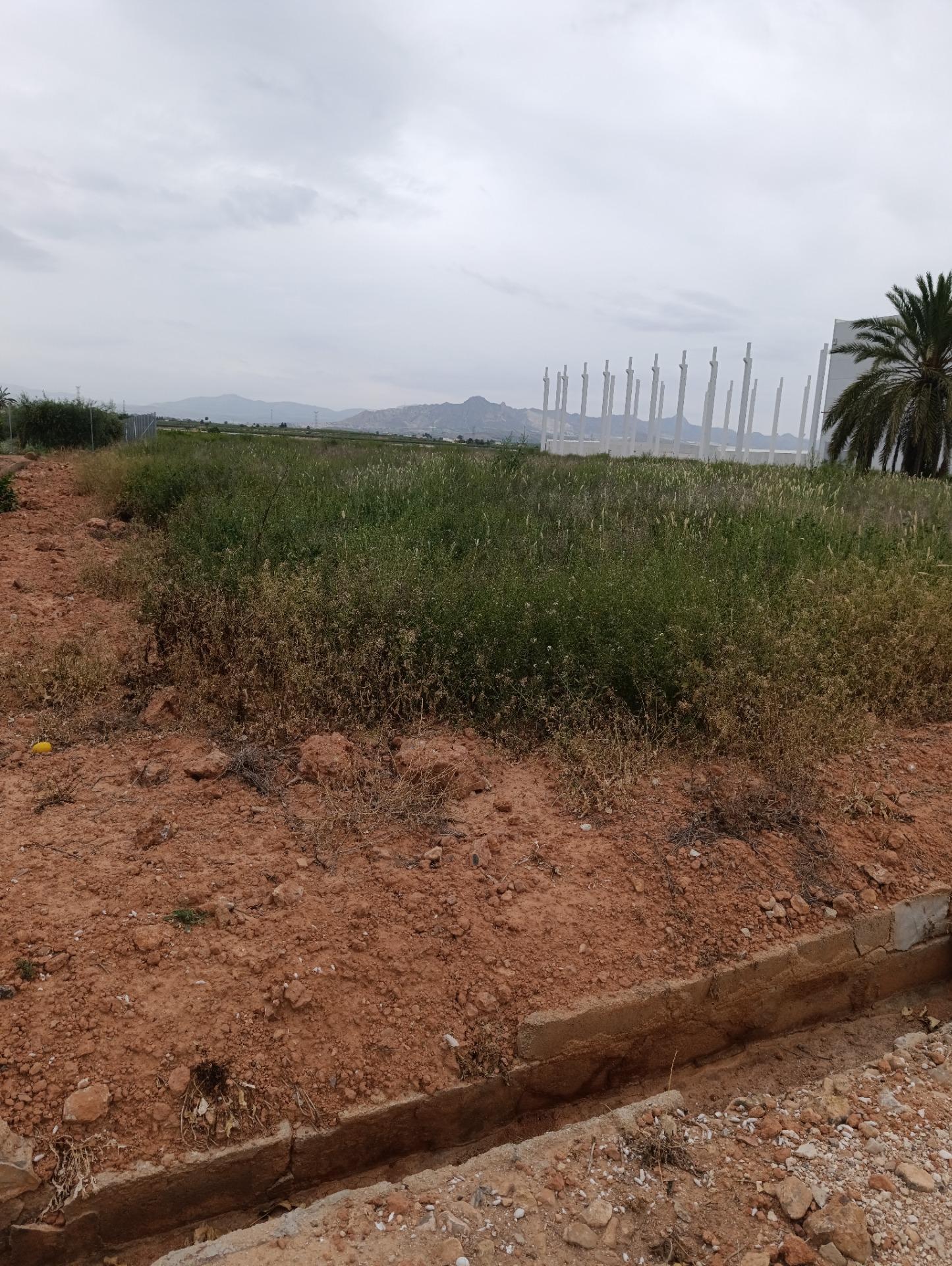 Industriel/Logistique dans Fortuna, Murcia à vendre Plan de site– Image 1 sur 12