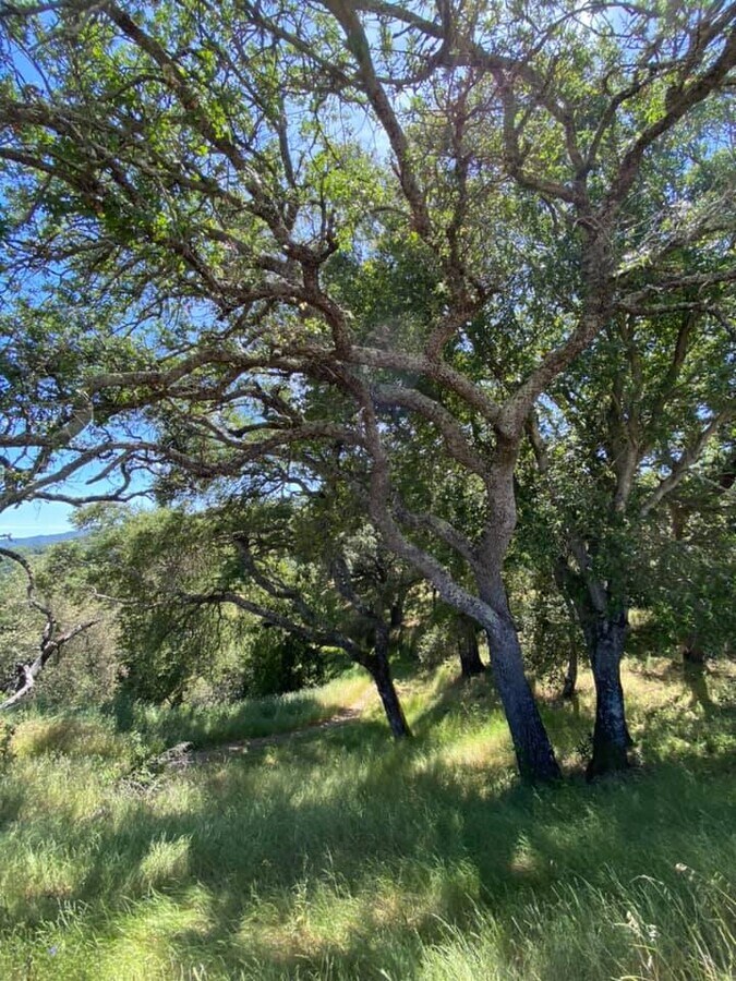 View Photo