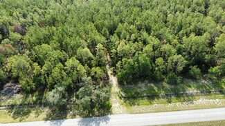 Plus de détails pour NE 353 Hwy, Cross City, FL - Terrain à vendre