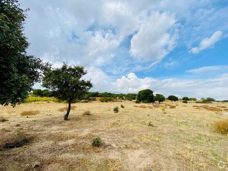 Terrain dans San Martín de Valdeiglesias, Madrid à vendre - Photo principale – Image 1 sur 7