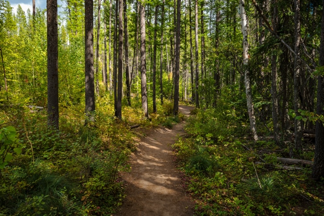 Lone Lake Private Timberland Retreat, Marion, MT à vendre - Autre – Image 3 sur 7