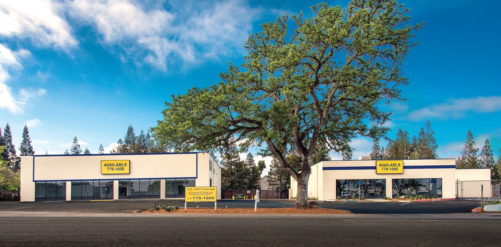 6140 Auburn Blvd, Citrus Heights, CA à louer Photo principale– Image 1 sur 13