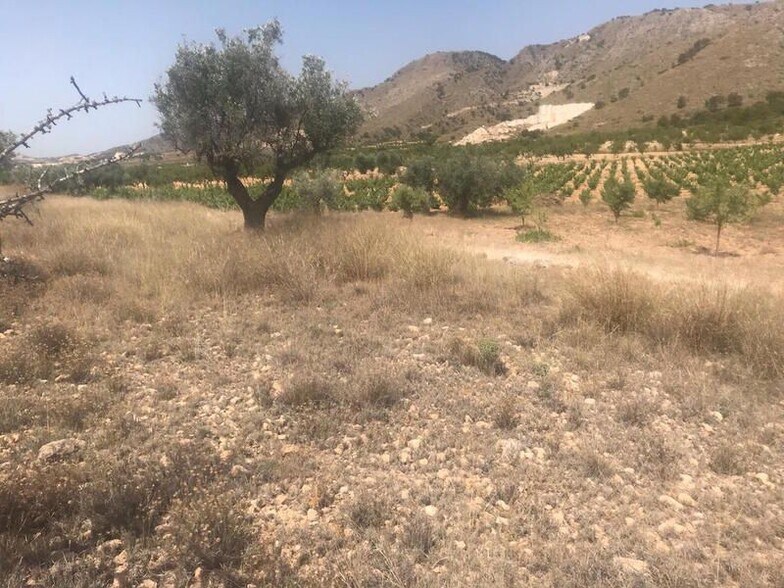 Poste, 165, Abanilla, Murcia à vendre - Plan de site – Image 3 sur 11