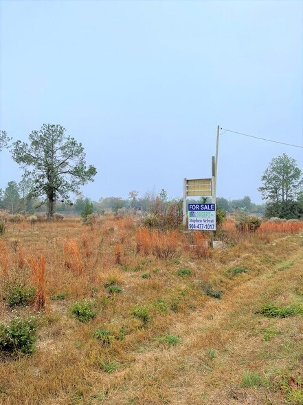 6969 State Road 21, Keystone Heights, FL à vendre - Photo de l’immeuble – Image 2 sur 3