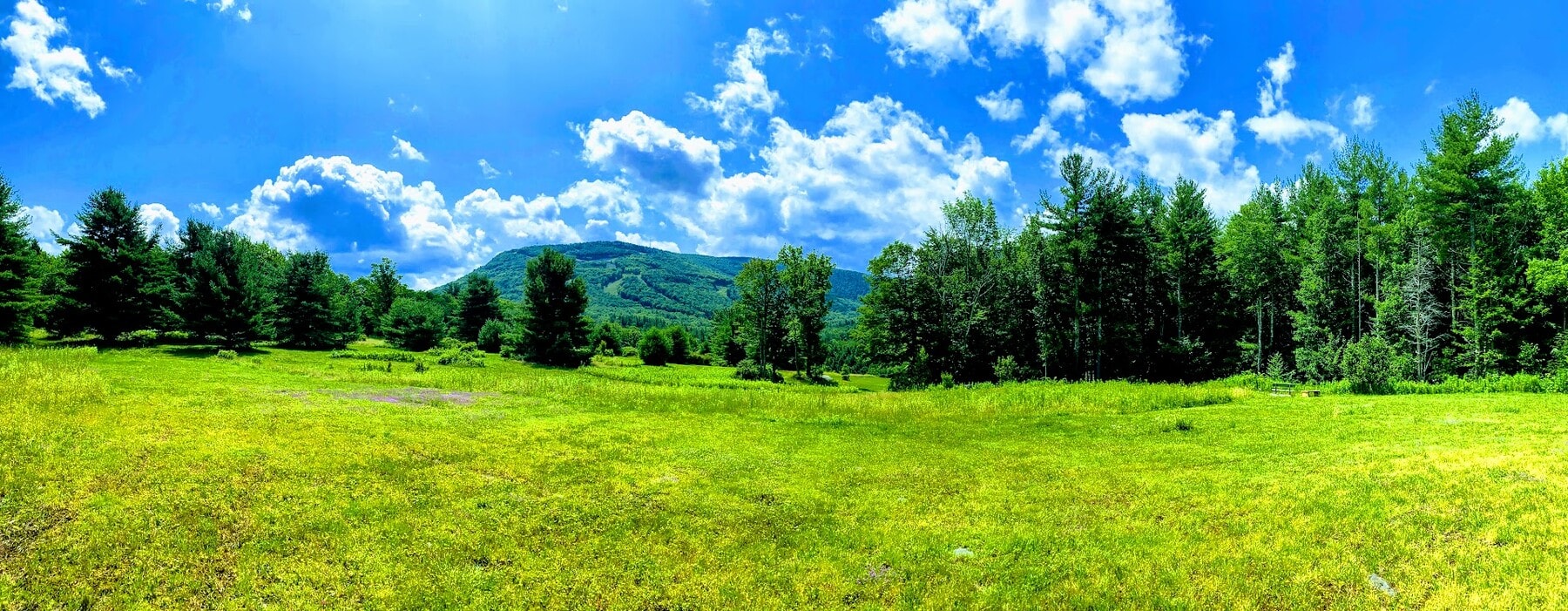Photo principale