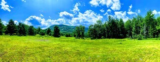 Plus de détails pour 8444 Route 23a, Hunter, NY - Terrain à vendre