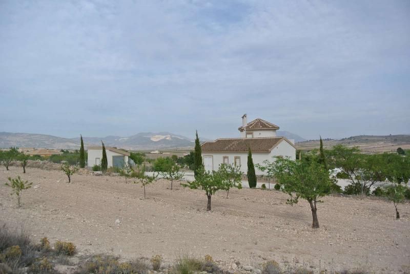 Terrain dans Jumilla, Murcia à vendre Photo principale– Image 1 sur 16