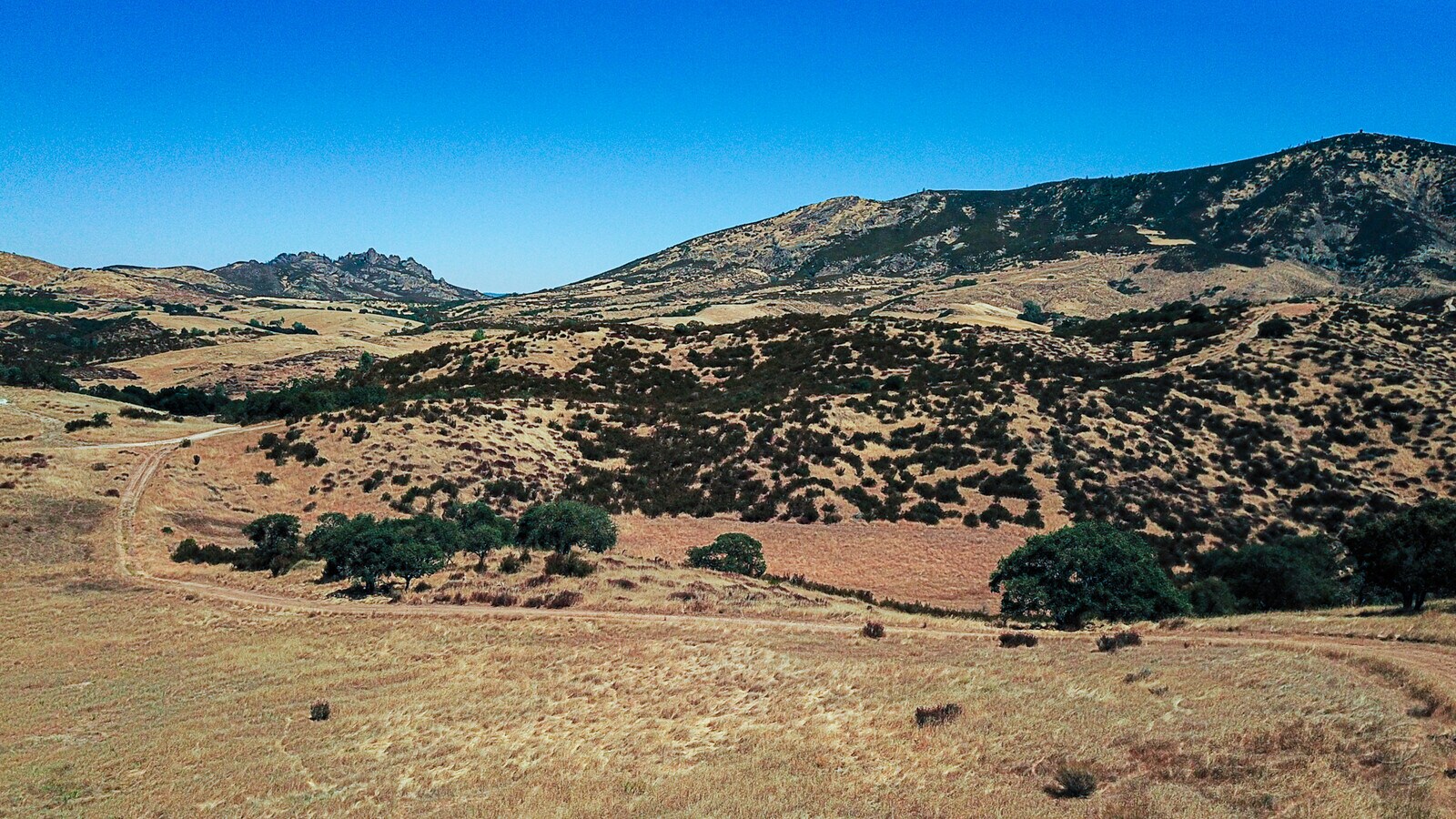 View Photo