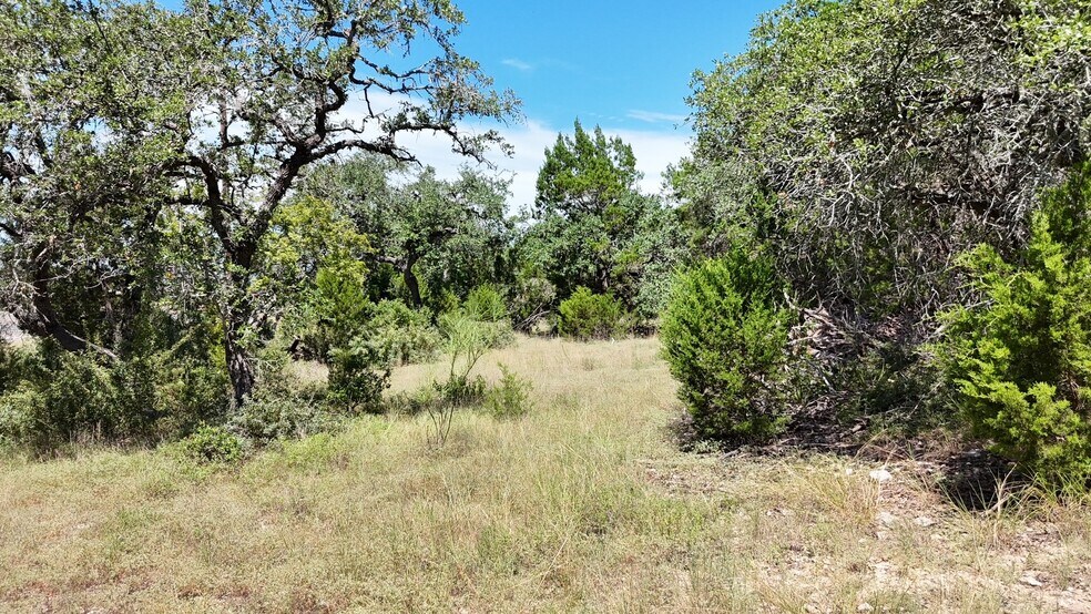 15910 FM 306, Canyon Lake, TX à vendre - Aérien – Image 3 sur 4