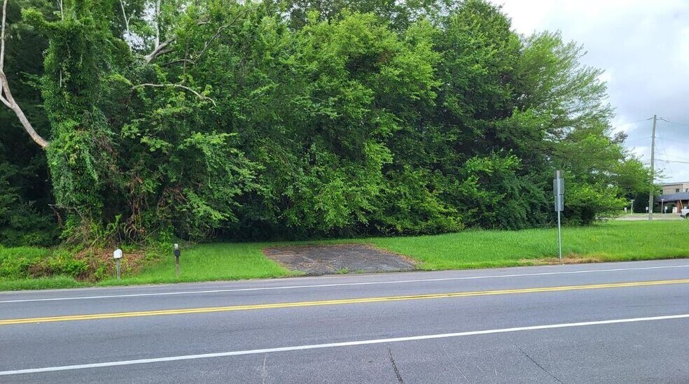 Shore Hwy, Denton, MD à vendre - Photo de l’immeuble – Image 3 sur 3