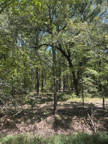 Elm Grove, Elm Grove, LA à vendre - Photo de l’immeuble – Image 3 sur 3