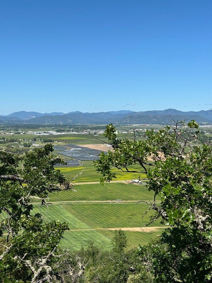 View Photo