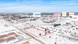 Plus de détails pour Townline Rd, Cheboygan, MI - Terrain à vendre