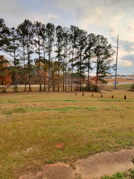 115 Frog Rd, Locust Grove, GA à vendre - Photo de l’immeuble – Image 2 sur 2