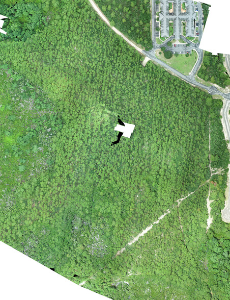 Crooked River Road 3.5 Acres, Carrabelle, FL à vendre - Photo de l’immeuble – Image 3 sur 9