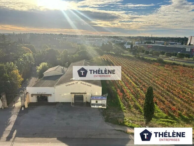 Local commercial dans Pérols à louer - Photo de l’immeuble – Image 3 sur 7