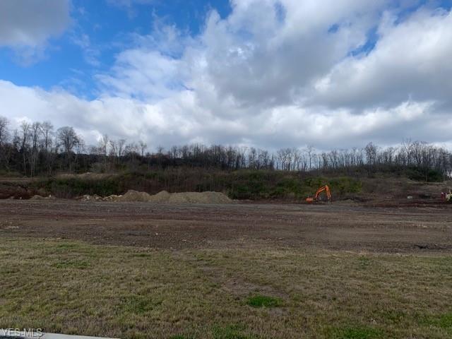 82424 Cadiz Jewett Rd, Cadiz, OH à louer - Photo de l’immeuble – Image 2 sur 11