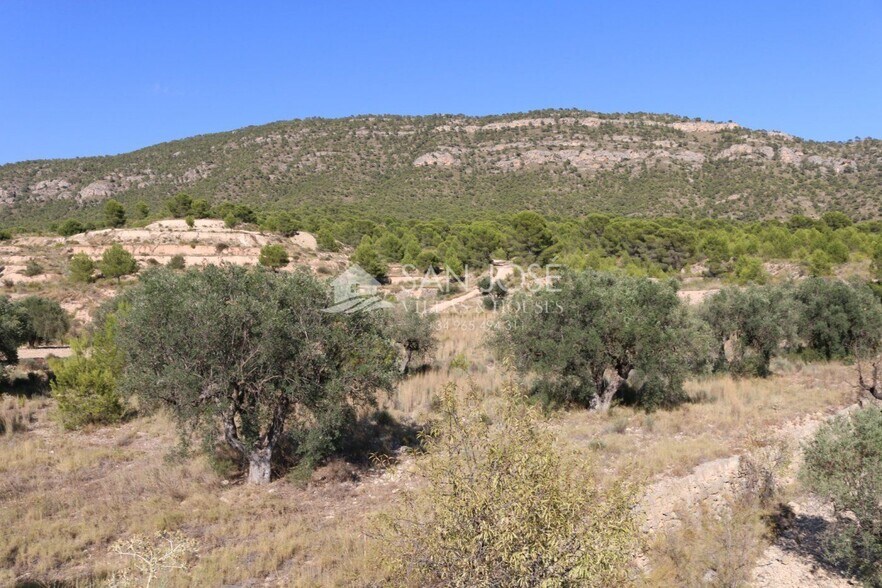 Terrain dans MONÒVER, Alicante à vendre - Photo principale – Image 1 sur 17