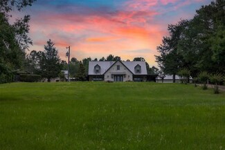 Plus de détails pour 17042 State Highway 21 E, Grapeland, TX - Spécialisé à vendre