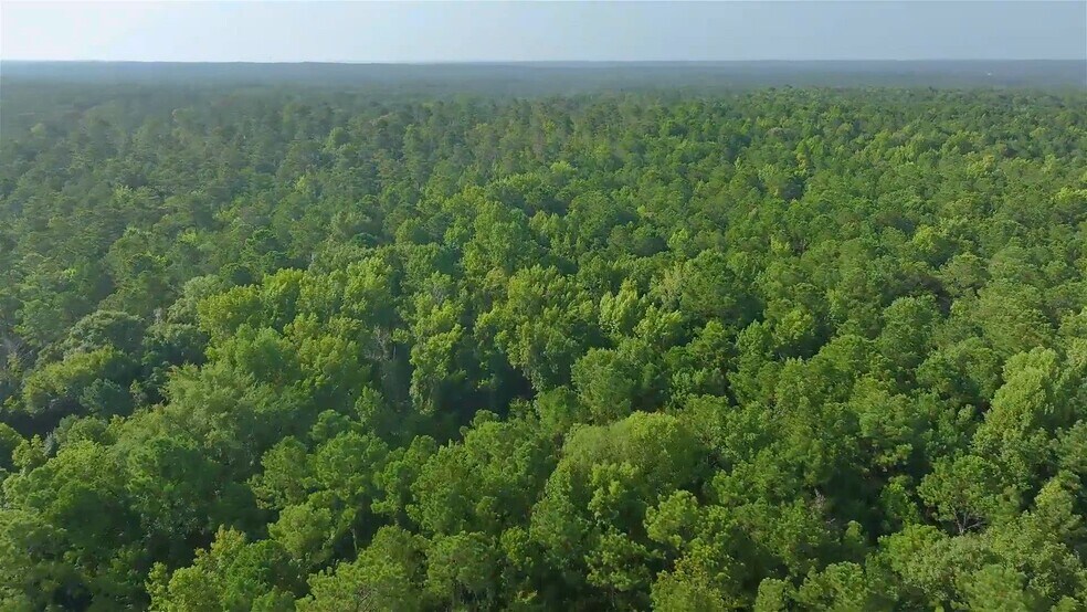 7633 Thomaston Rd, Macon-Bibb, GA à vendre - Vidéo sur l’annonce professionnelle – Image 2 sur 8