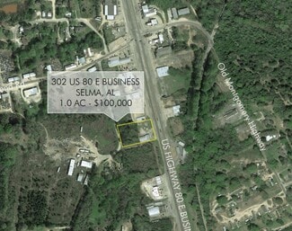 Plus de détails pour 302 US Highway 80 E, Selma, AL - Terrain à vendre