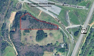 Plus de détails pour 7989 AL-75, Pinson, AL - Terrain à vendre