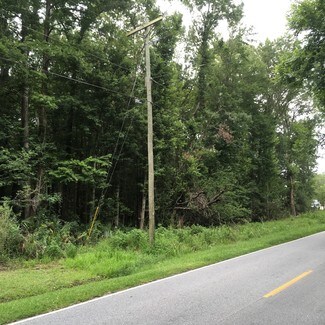 Plus de détails pour 692 Bear Swamp Rd, Johns Island, SC - Terrain à vendre