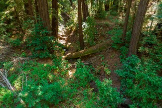 Plus de détails pour 2372 McKenzie Creek rd, Scotts Valley, CA - Terrain à vendre