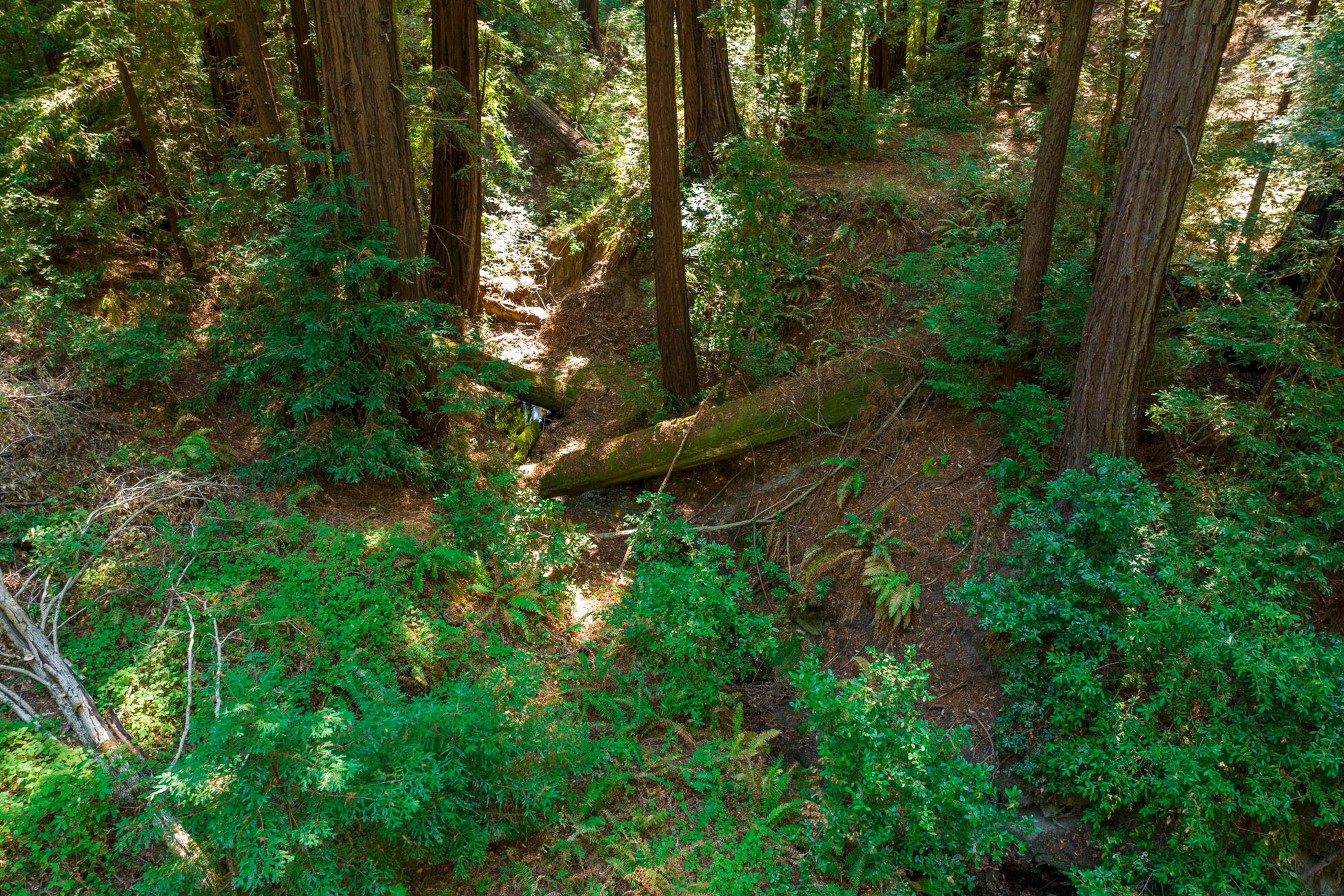 2372 McKenzie Creek rd, Scotts Valley, CA à vendre Photo principale– Image 1 sur 55