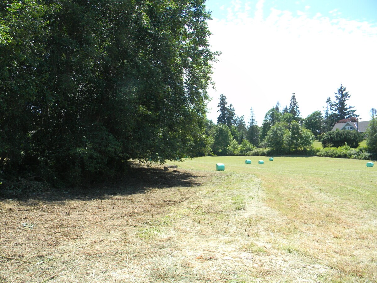 View Photo