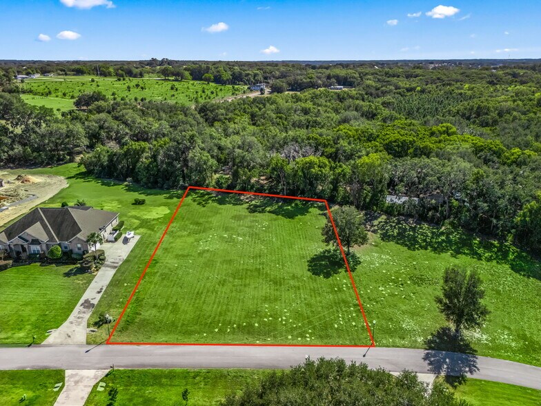 SE 156th Lane, Weirsdale, FL à vendre - Photo de l’immeuble – Image 3 sur 16