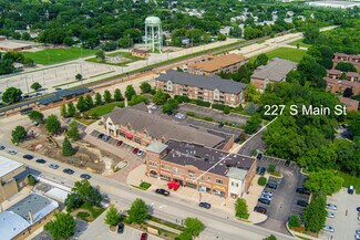 Plus de détails pour 241 S Main St, Bartlett, IL - Local d'activités à louer
