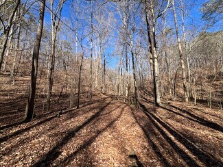 Plus de détails pour peachtree road, Rockmart, GA - Terrain à vendre