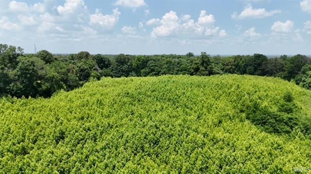 Co 150 N rd, Hazleton, IN à vendre - Photo de l’immeuble – Image 2 sur 5