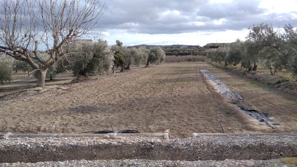 Terrain dans Calasparra, Murcia à vendre - Photo de l’immeuble – Image 1 sur 26