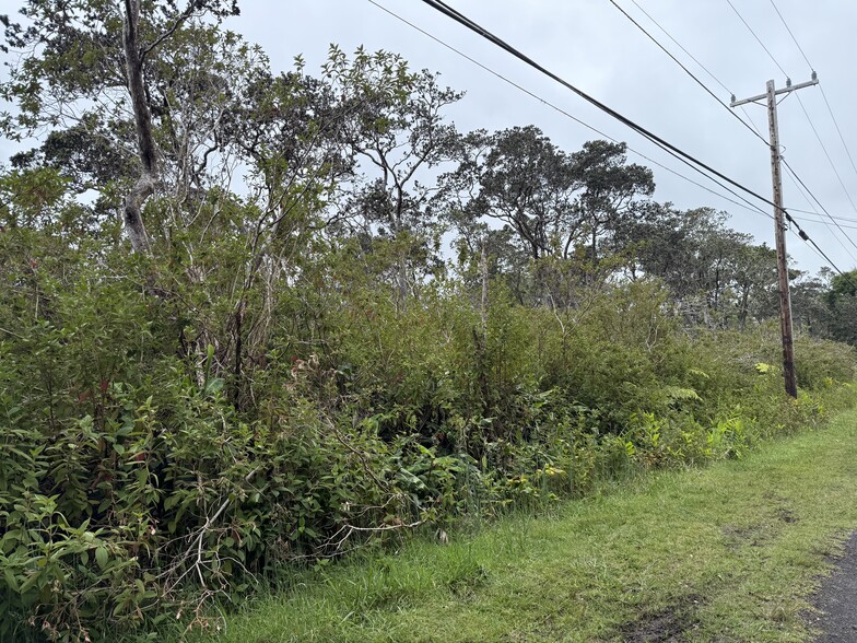 19-4021 Haunani Rd, Volcano, HI à vendre - Aérien – Image 2 sur 4