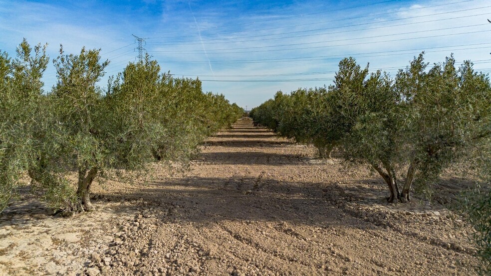 Parcela, 16, Crevillent, Alicante à vendre - Aérien – Image 2 sur 7