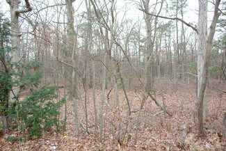 Plus de détails pour 6519 Black Horse Pike, Egg Harbor Township, NJ - Terrain à vendre