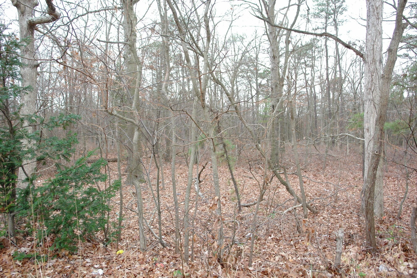 Photo principale