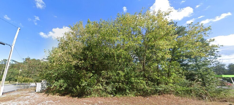 5202 Greenhill Blvd NW, Fort Payne, AL à vendre - Autre – Image 2 sur 2