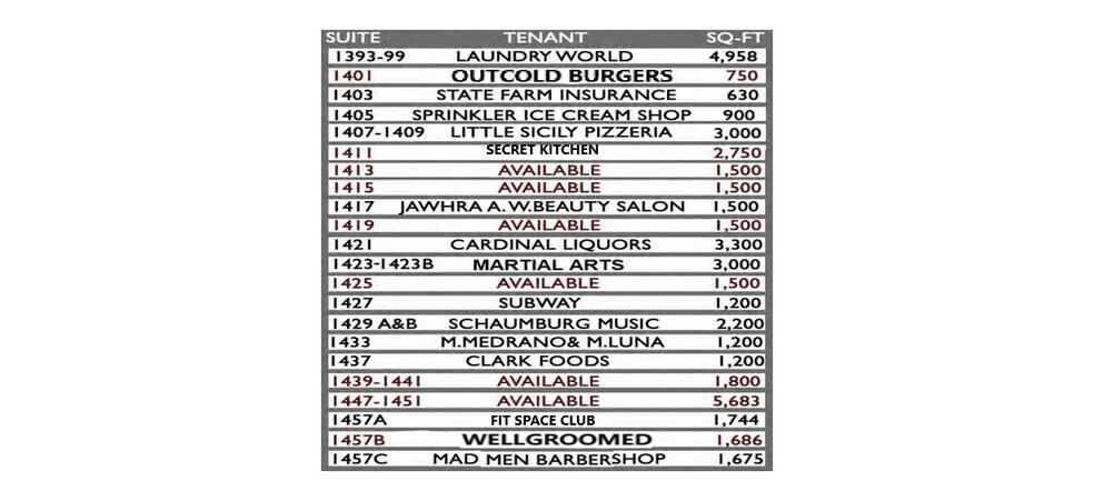 1401-1455 W Schaumburg Rd, Schaumburg, IL à louer - Photo de l’immeuble – Image 3 sur 6