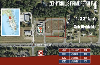 Plus de détails pour Eiland Blvd, Zephyrhills, FL - Terrain à vendre