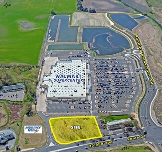 Plus de détails pour SWQ Of Route 31 & Running Brook Farm Rd, Johnsburg, IL - Terrain à vendre